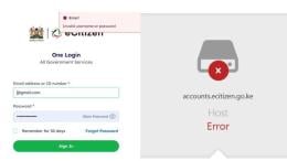 File image of the eCitizen Platform