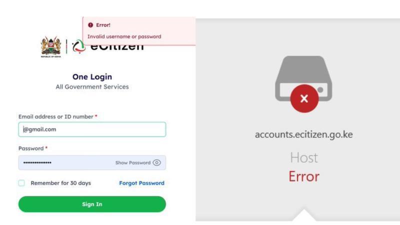 File image of the eCitizen Platform