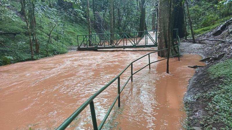 File image of flooding at Karura Forest
