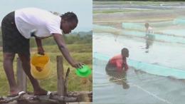 File image of fish farmers at Kosembo Aquapark