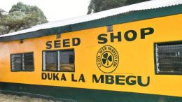 File image of a Kenya Seed Company seed shop