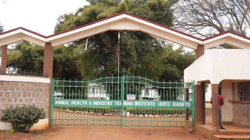 File image of Animal Health and Industry Training Institute - Kabete