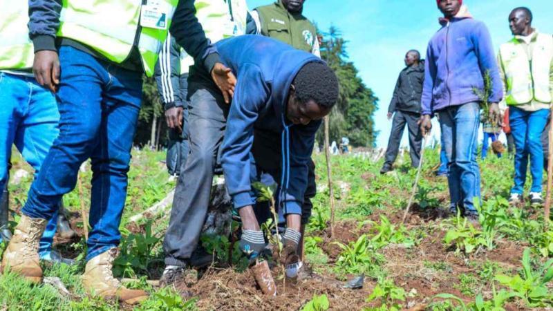 File image of Hillary Kiplagat Kibiwott