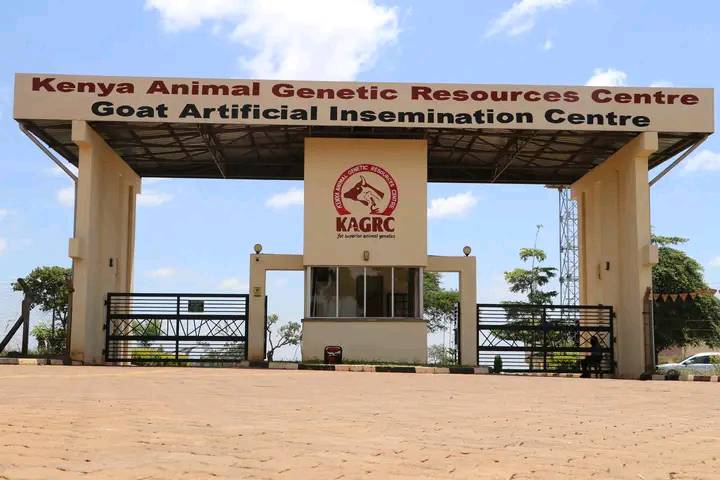 File image of the Kenya Animal Genetic Resources Centre (KAGRC) insemination center.