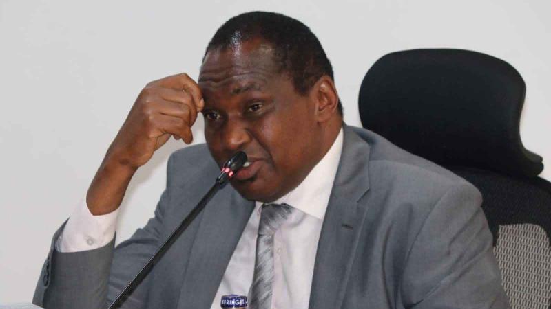 File image of National Assembly Departmental Committee on Tourism and Wildlife Chairperson and Maara MP Kareke Mbiuki