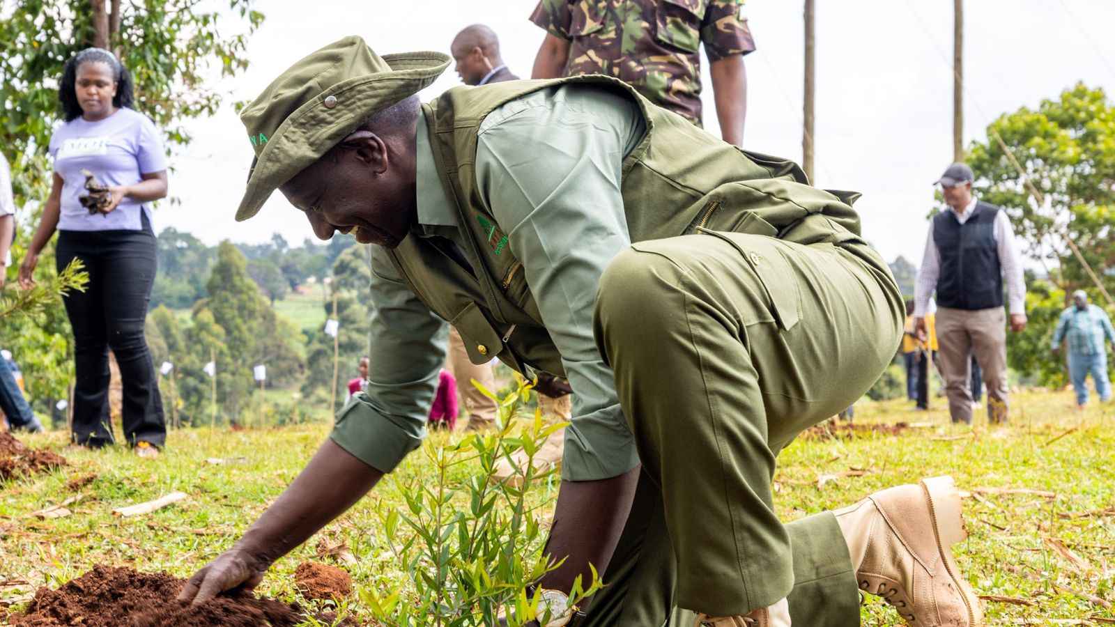 File image of President William Ruto during a past tree planting exercise