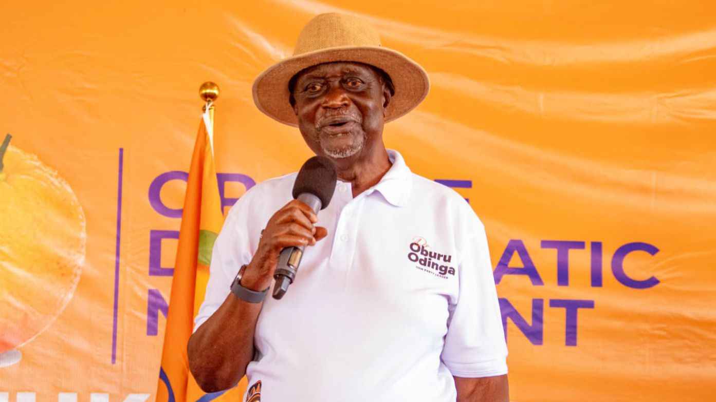 File image of ODM leader and Siaya Senator Oburu Oginga