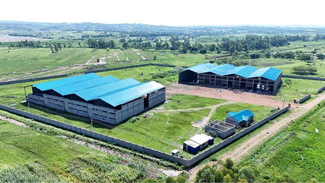 File image of the County Aggregation and Industrial Park (CAIP) in Homa Bay