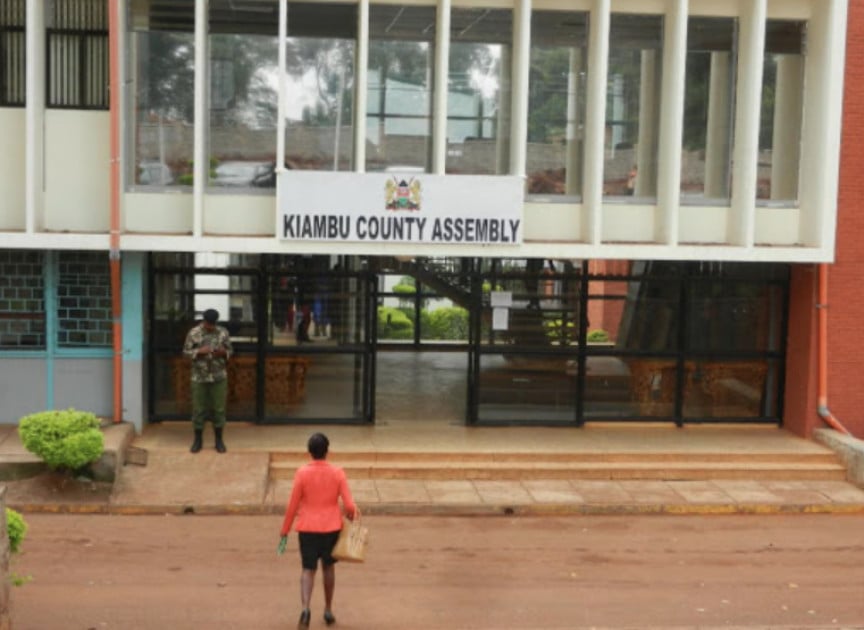 File image of the Kiambu County Assembly.