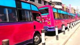 File image of Nicco Movers busses