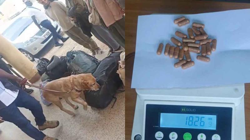 File image of the K9 and recovered heroin