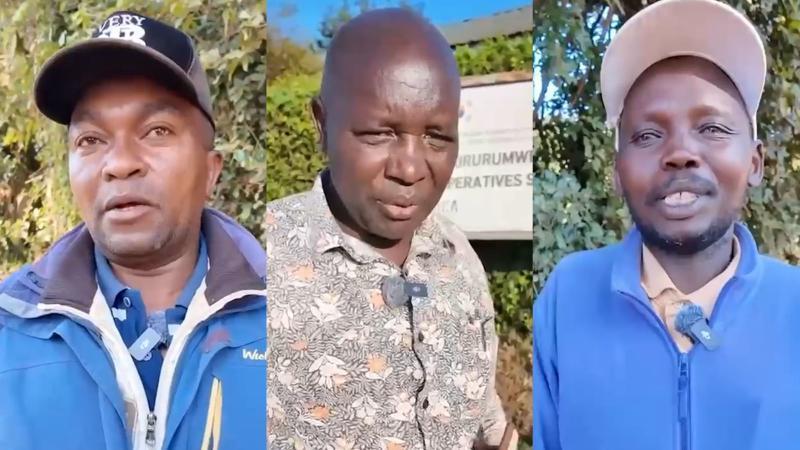 File image of Simon Mungei, Wifenzio Njeru, and Richard Wachira