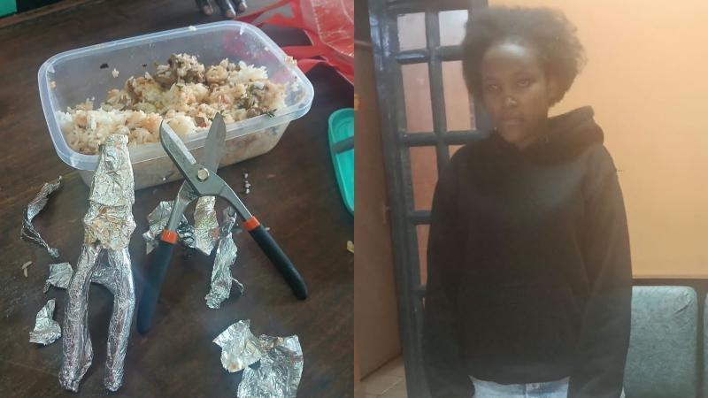 File image of the jailbreak tools and the suspect