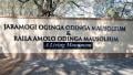 File image of the Raila Amolo Odinga Mausoleum